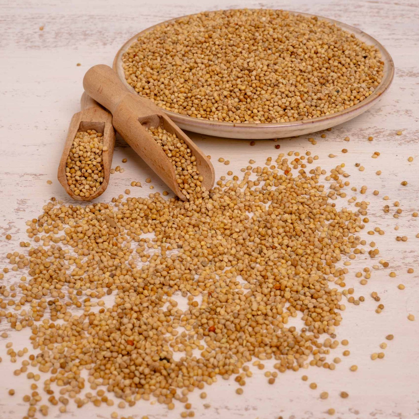 Senegalhirse (feinkörnig) – Papageien- und Sittichfutter