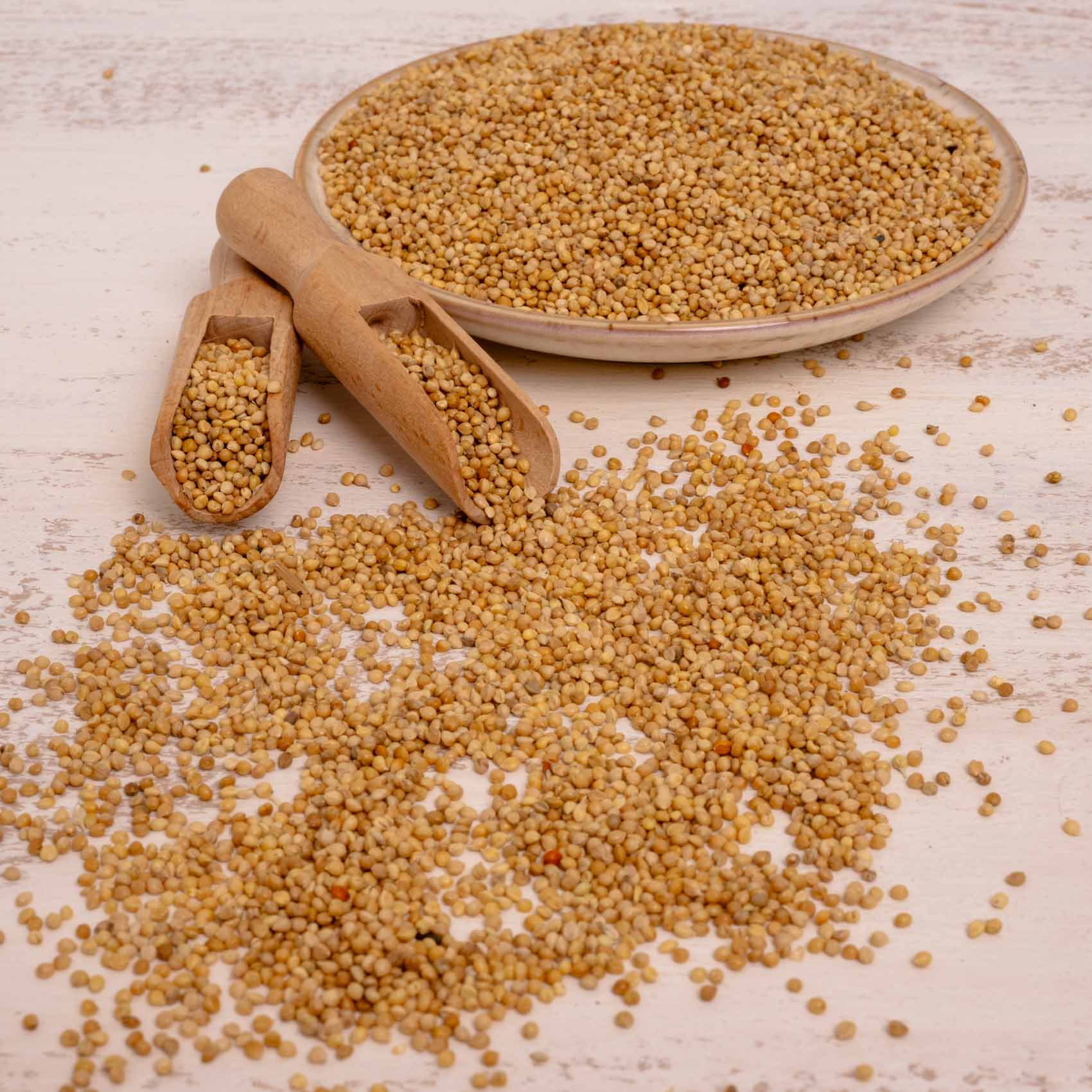 Senegalhirse (feinkörnig) – Papageien- und Sittichfutter