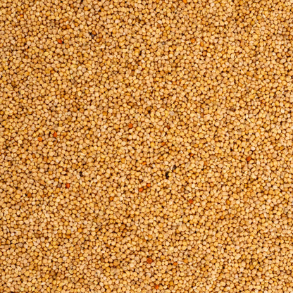 Senegalhirse (feinkörnig) – Papageien- und Sittichfutter