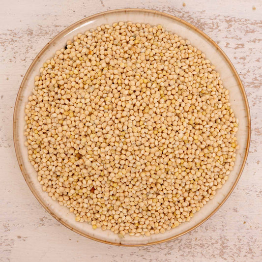 Silberhirse – lose – Papageienfutter