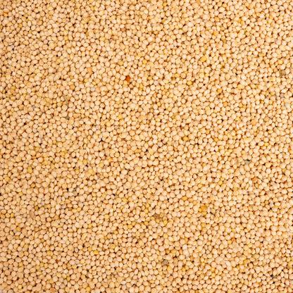 Silberhirse – lose – Papageienfutter