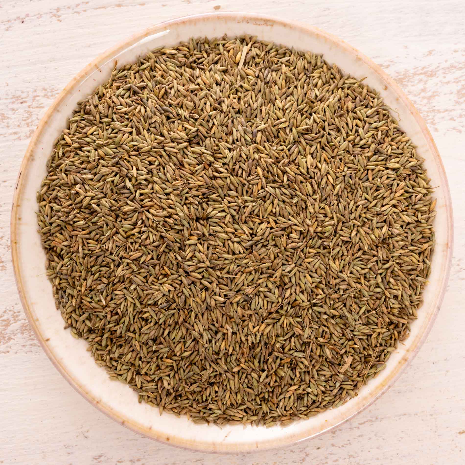 Pagima Green, Futterzusatz, zum untermischen ins Futter für Sittiche & Papageien