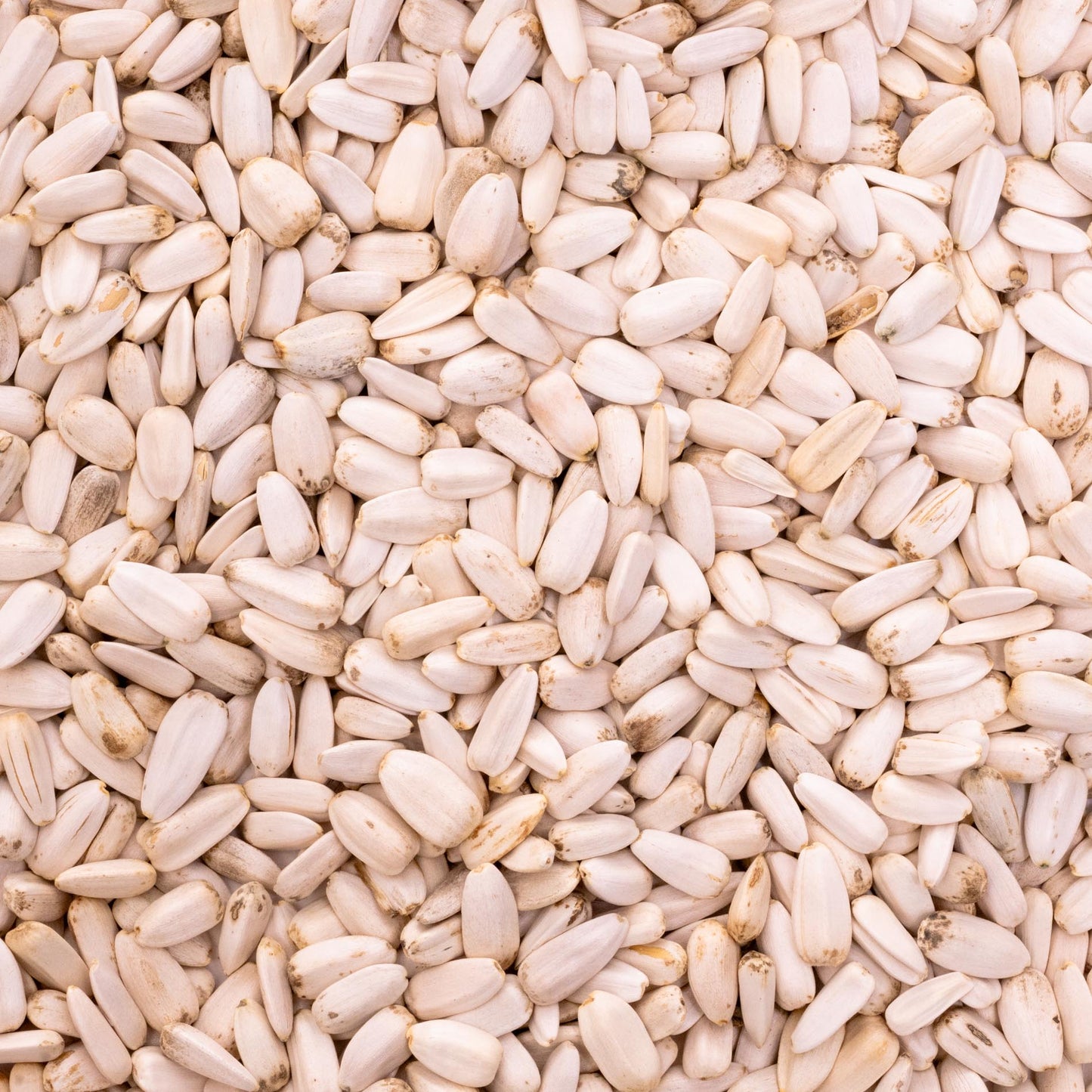 Sonnenblumenkerne (medium weiß) –  500 g