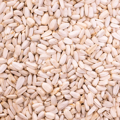 Sonnenblumenkerne (medium weiß) –  500 g