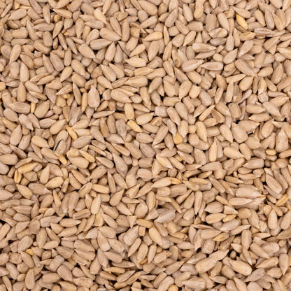 Sonnenblumen geschält – Papageienfutter