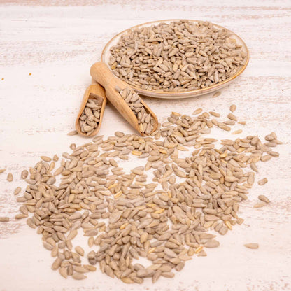 Sonnenblumen geschält – Papageienfutter