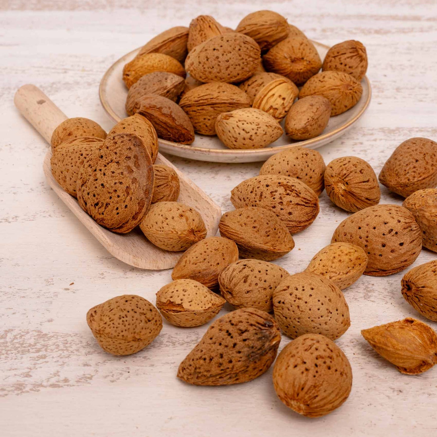 Süßmandeln mit weicher Schale - Papageienfutter