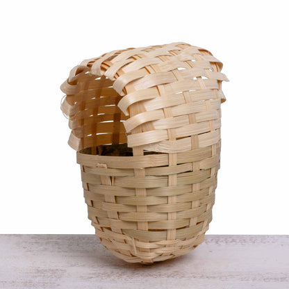 Exotennest für kleine Vögel