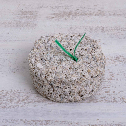 Witte Molen Mineralblock mittel/grob für Papageien