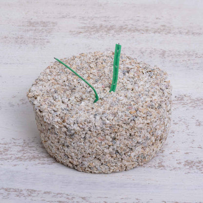 Witte Molen Mineralblock mittel/fein für Sittiche