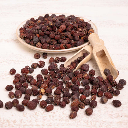 Weißdorn – Papageienfutter-Zusatzfuttermittel