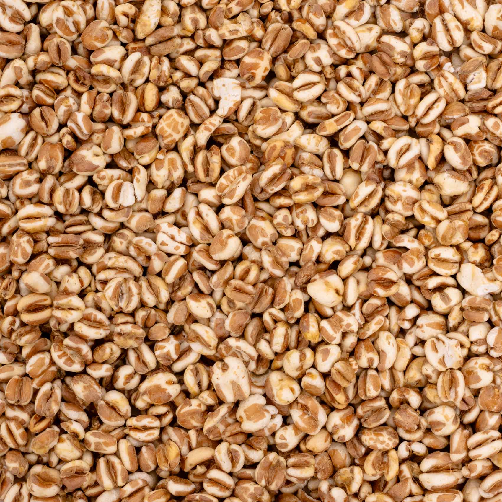 Weizen gepufft – Papageienfutter