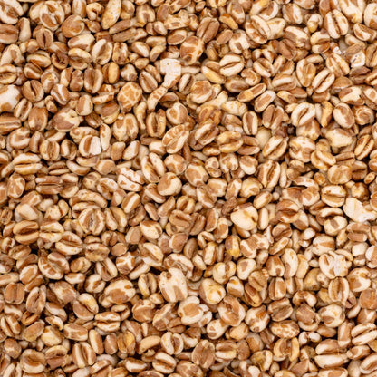 Weizen gepufft – Papageienfutter