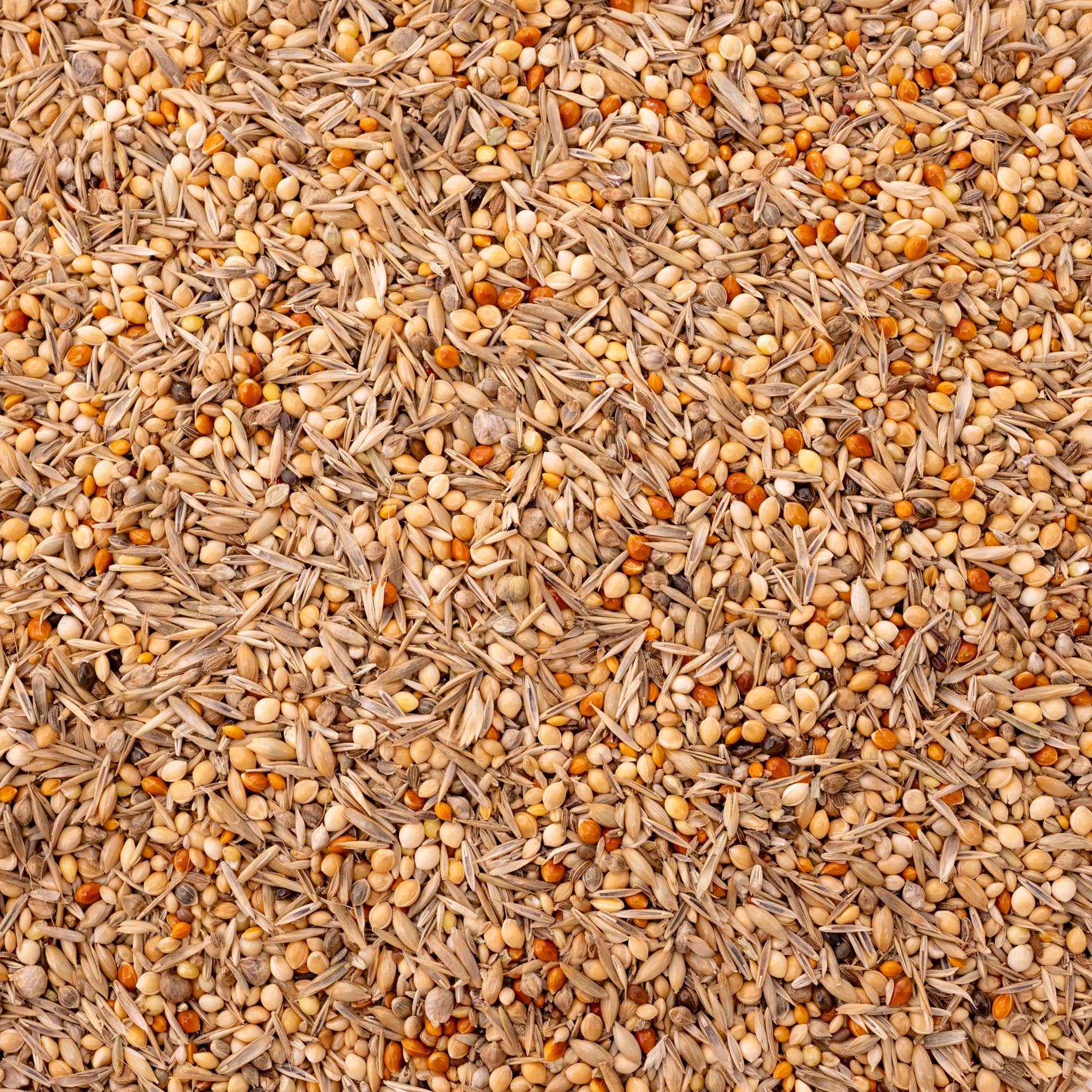 Wellensittich Vital – ausgewogenes Körnerfutter (Vogelfutter)