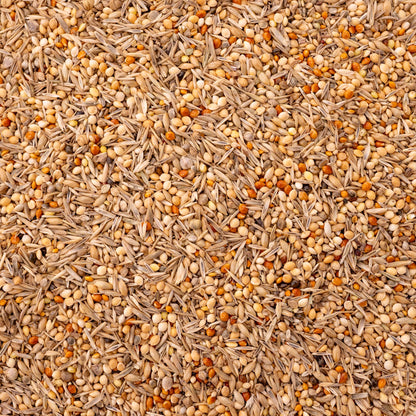 Wellensittich Vital – ausgewogenes Körnerfutter (Vogelfutter)
