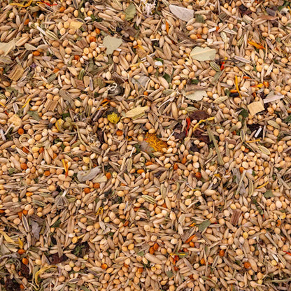 Kräuterapotheke Wellensittich – hochwertiges Papageienfutter und Körnerfuttermischung mit Kräutern & Beeren (Vogelfutter)