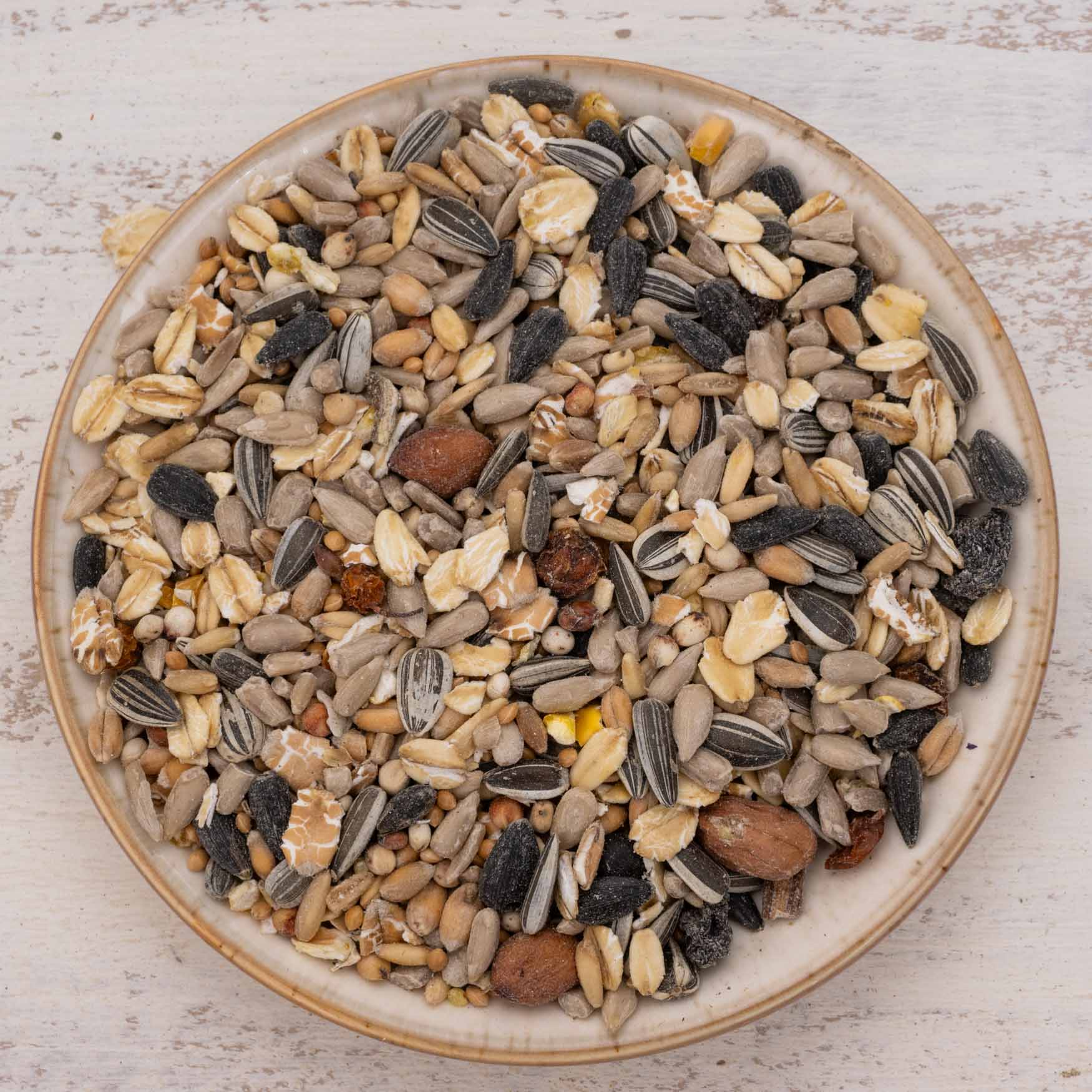 Rico’s Wildvogel Gourmet Mix