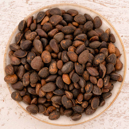 Zirbelnüsse – Papageienfutter