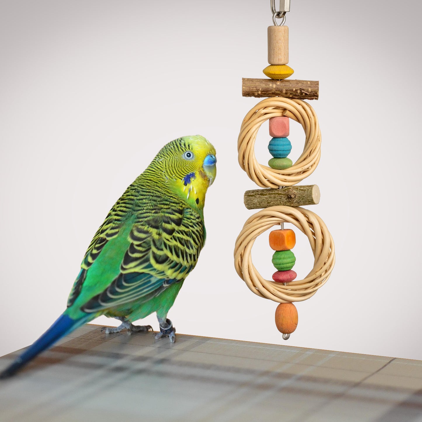 Weidenringe mit bunten Holzperlen – Sittichspielzeug