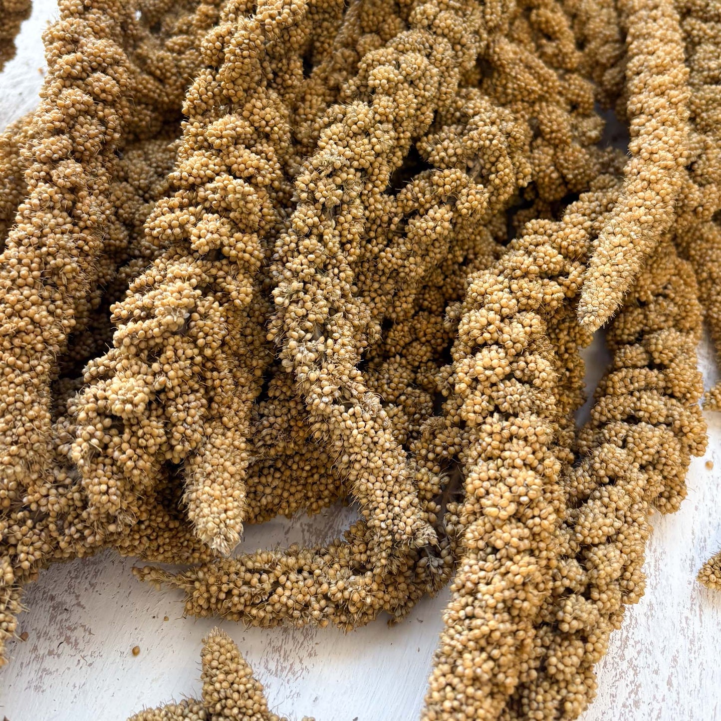 Gelbe Kolbenhirse aus Deutschland 500 g