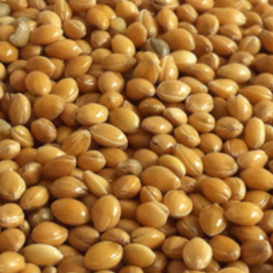 Gelbe Hirse (La Plata) – 500 g