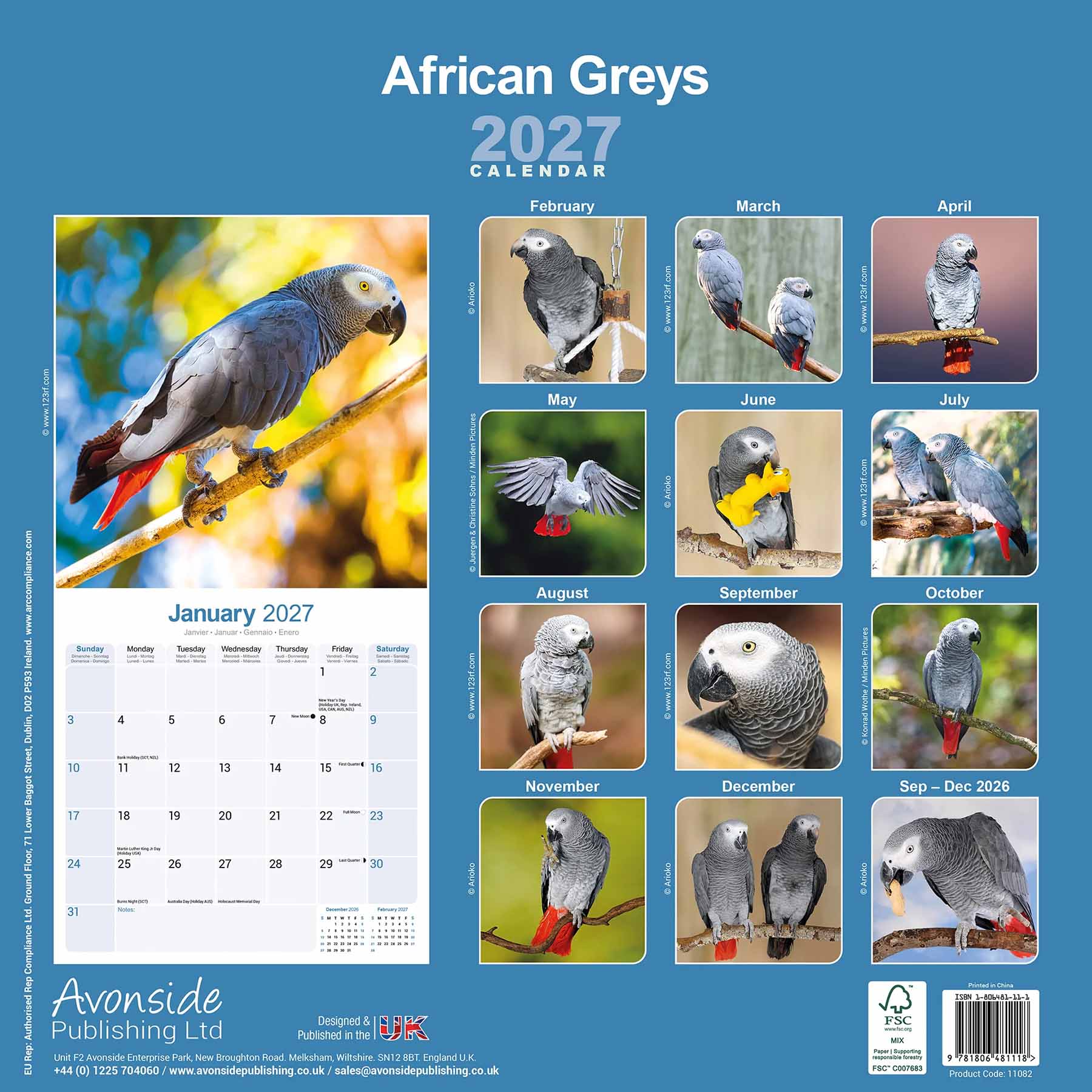 Graupapageien Kalender 2026/2027 – 16-Monats-Wandkalender mit Graupapageien-Motiven und großen Monatsübersichten