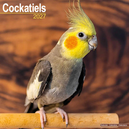 Nymphensittich Kalender 2026/2027 – 16-Monats-Wandkalender mit Nymphensittich-Motiven und großen Monatsübersichten