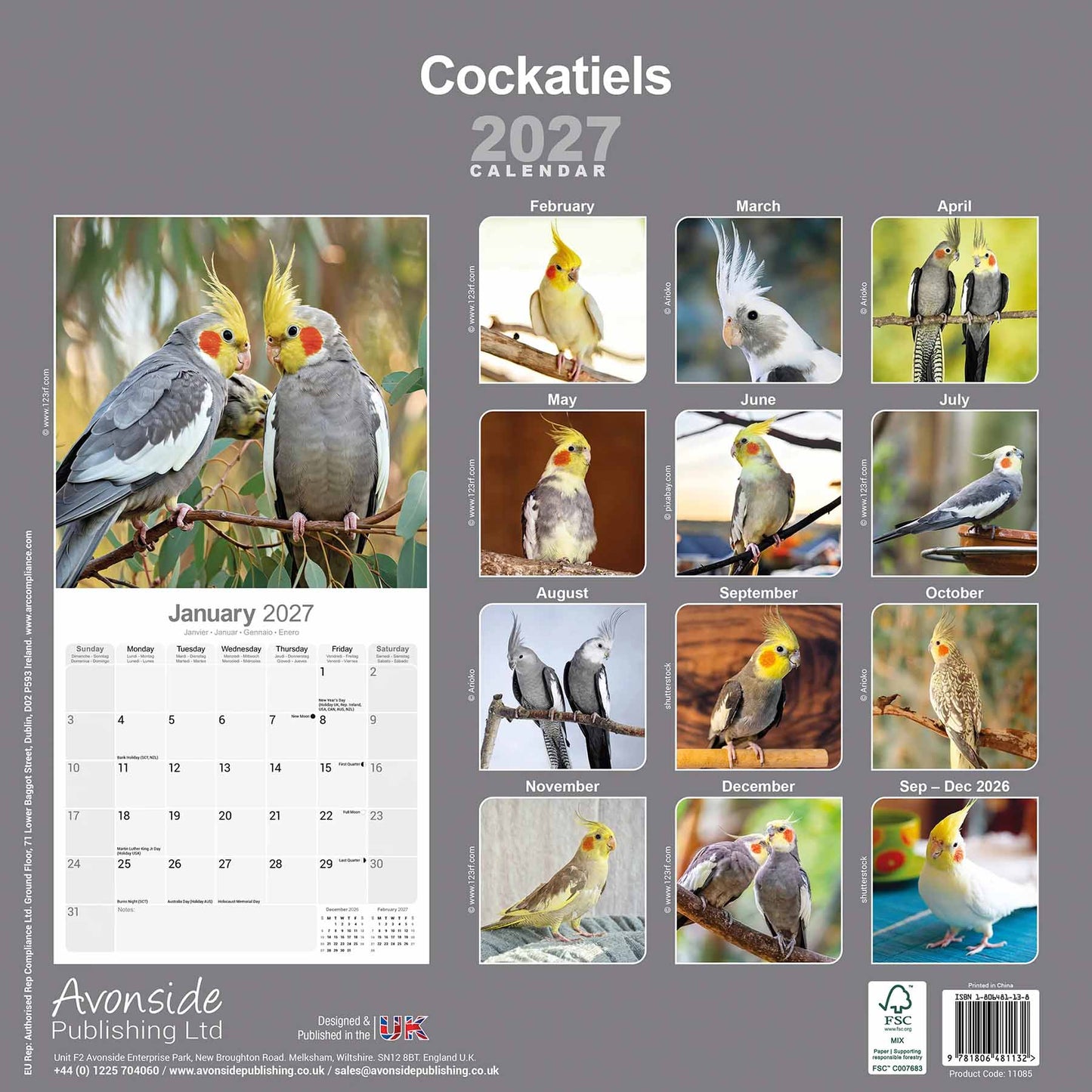 Nymphensittich Kalender 2026/2027 – 16-Monats-Wandkalender mit Nymphensittich-Motiven und großen Monatsübersichten