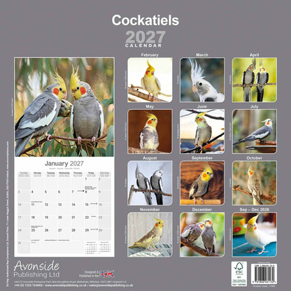 Nymphensittich Kalender 2026/2027 – 16-Monats-Wandkalender mit Nymphensittich-Motiven und großen Monatsübersichten