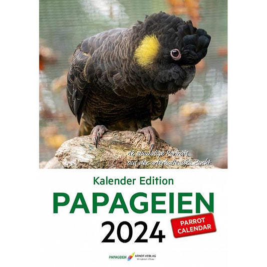 60850  -  ARNDT Kalender Papageien