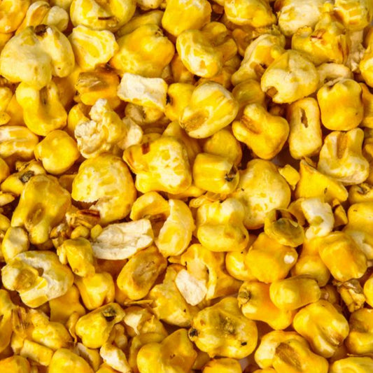 Mais gepufft – Papageienfutter-Zusatzfuttermittel