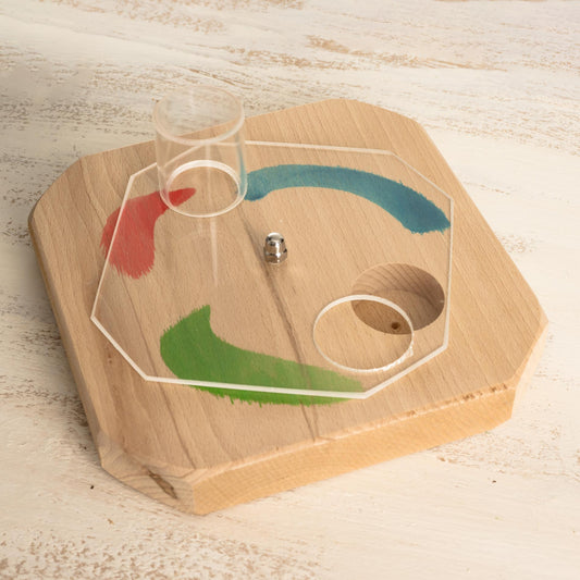 Kreiselspiel mit Acrylglasplatte – Intelligenzspielzeug für Papageien