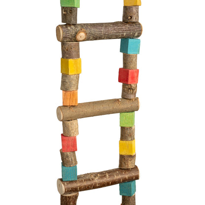 Bunte Sittich-Leiter medium  – für Sittiche
