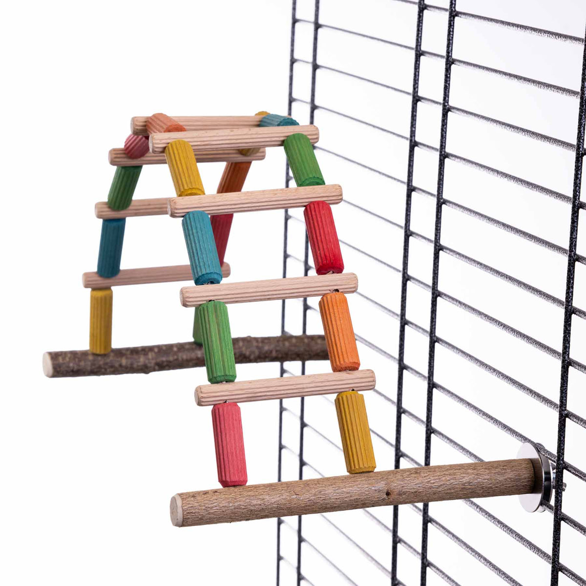 Flexible bunte Welli-Leiter aus Holz, für Wellensittiche und kleine Papageien