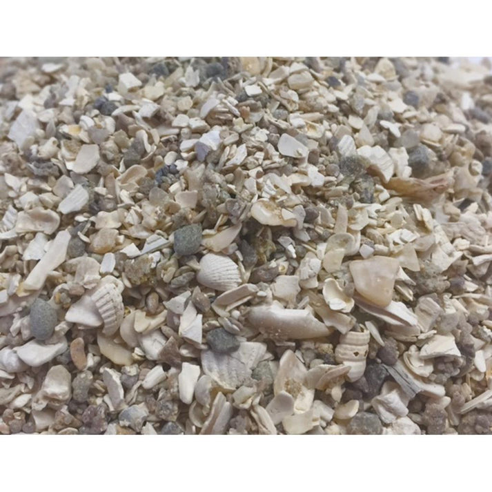 WM11 Muschelgrit grob 1 kg Rico's Futterkiste