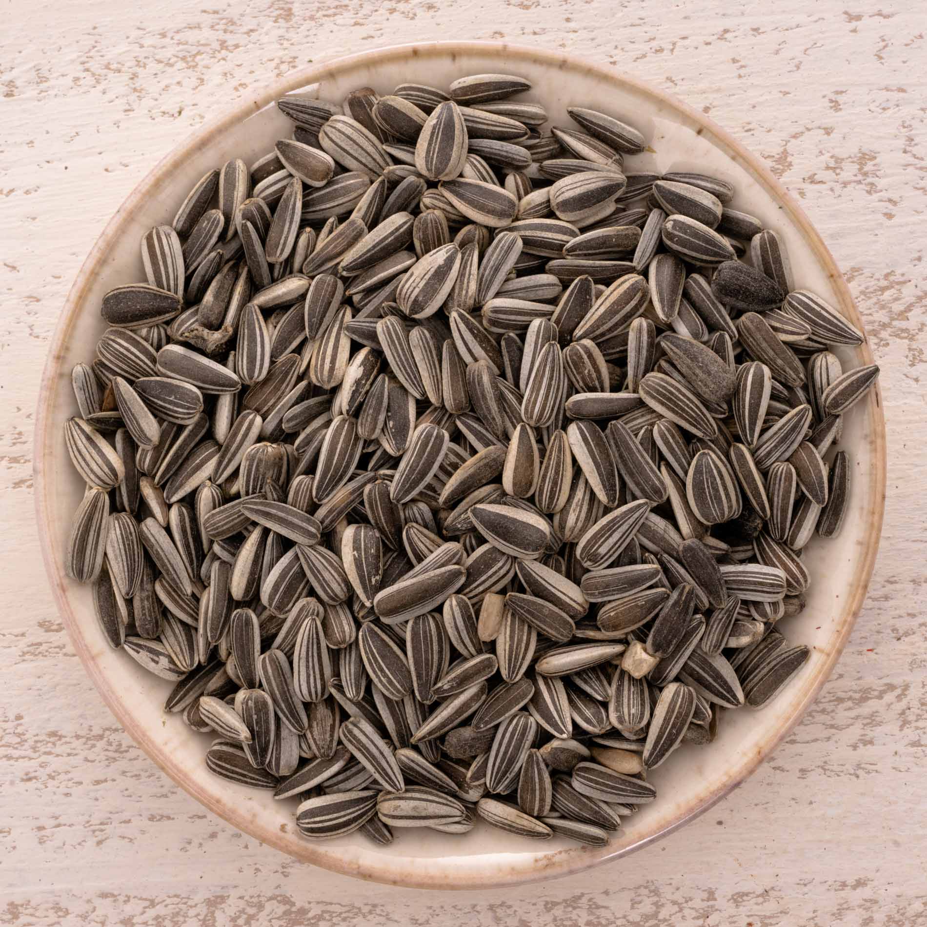 Sonnenblumenkerne (gestreift) – Vogelfutter