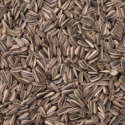 Sonnenblumenkerne (gestreift) – Vogelfutter