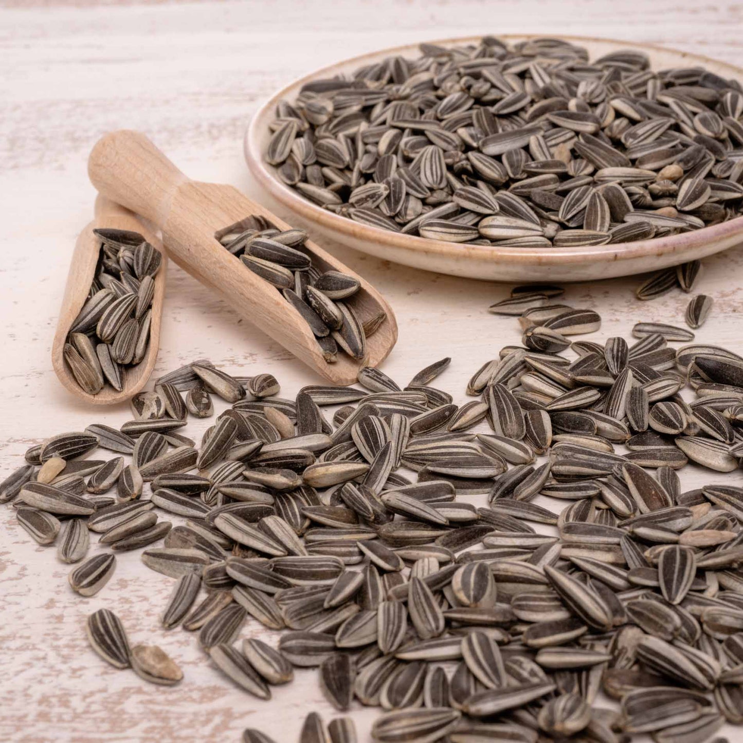 Sonnenblumenkerne (gestreift) – Vogelfutter