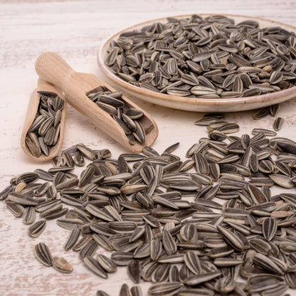 Sonnenblumenkerne (gestreift) – Vogelfutter