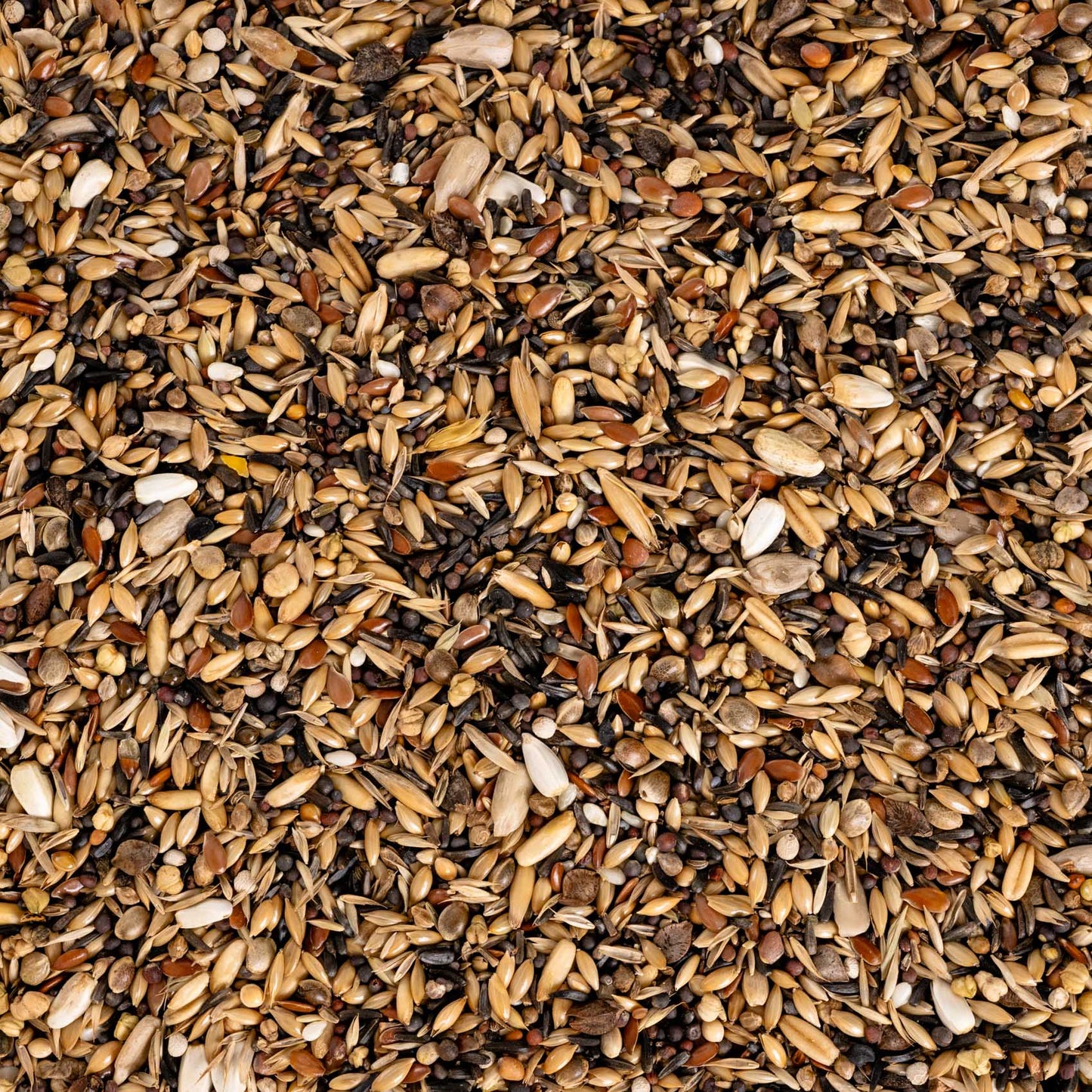 Waldvogel Spezial – hochwertige Wildsamen-Mischung