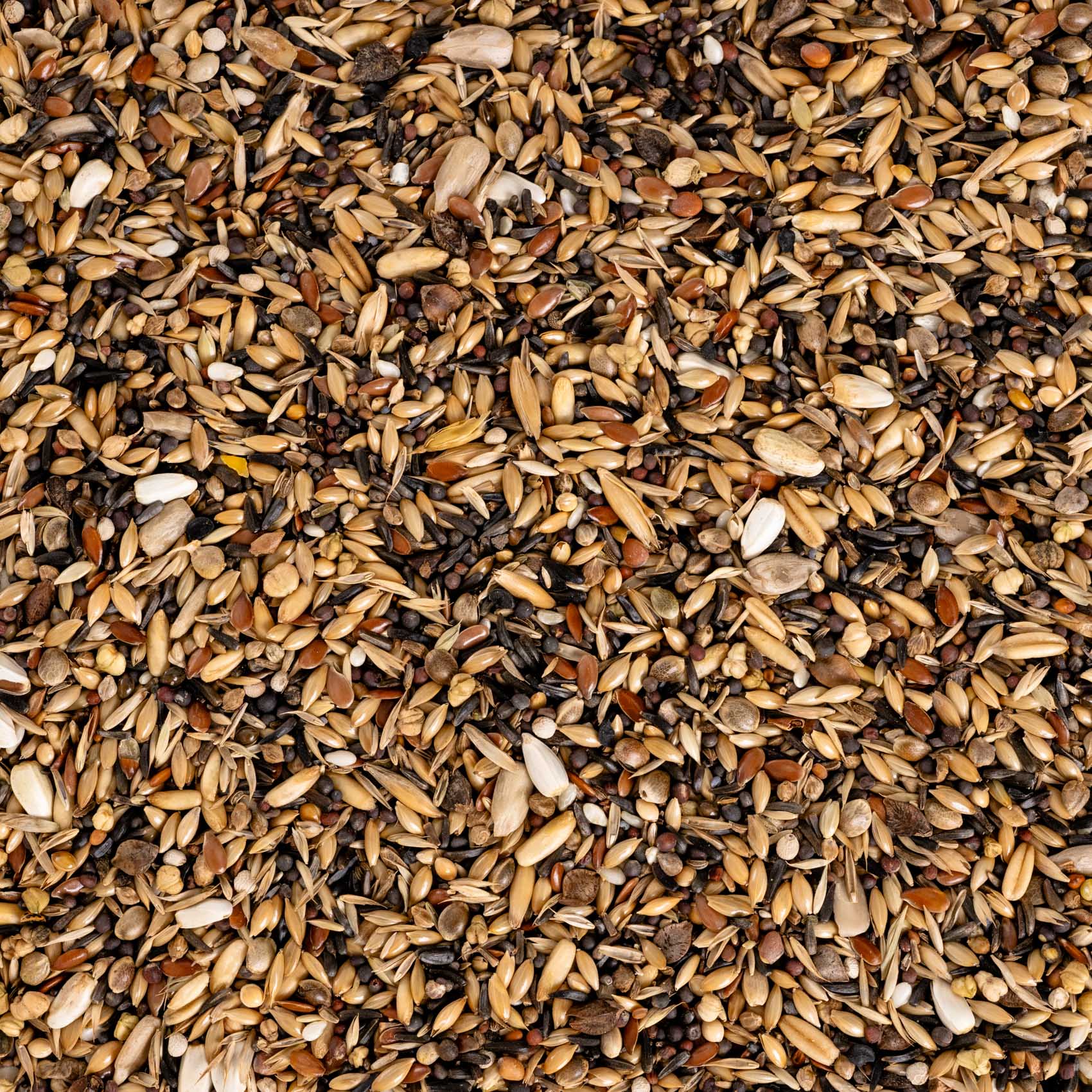 Waldvogel Spezial – hochwertige Wildsamen-Mischung