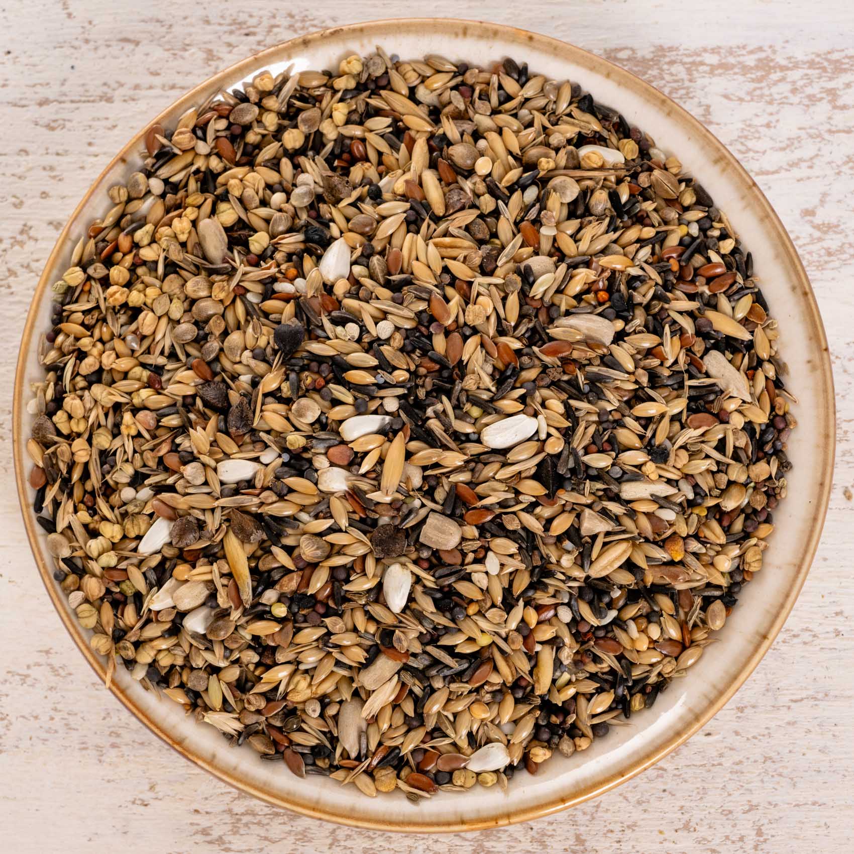 Waldvogel Spezial – hochwertige Wildsamen-Mischung