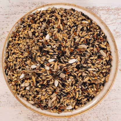 Waldvogel Spezial – hochwertige Wildsamen-Mischung