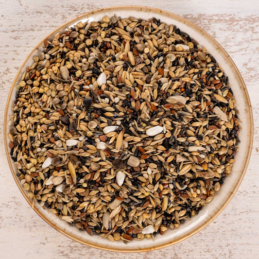 Waldvogel Spezial – hochwertige Wildsamen-Mischung