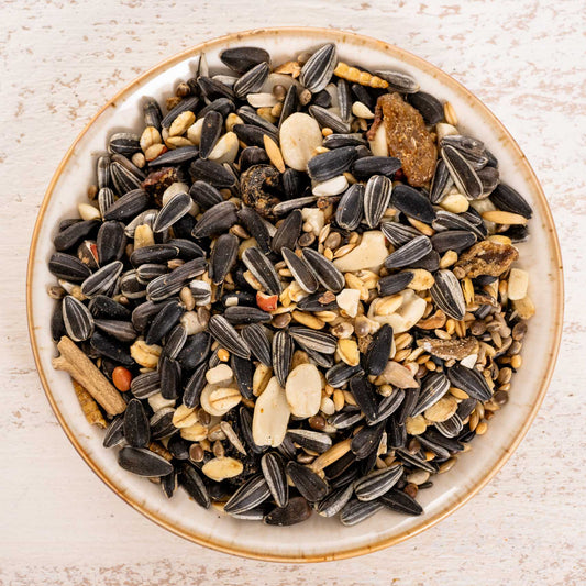 Wildvogelfutter Premium – Ganzjahresfutter für heimische Wildvögel