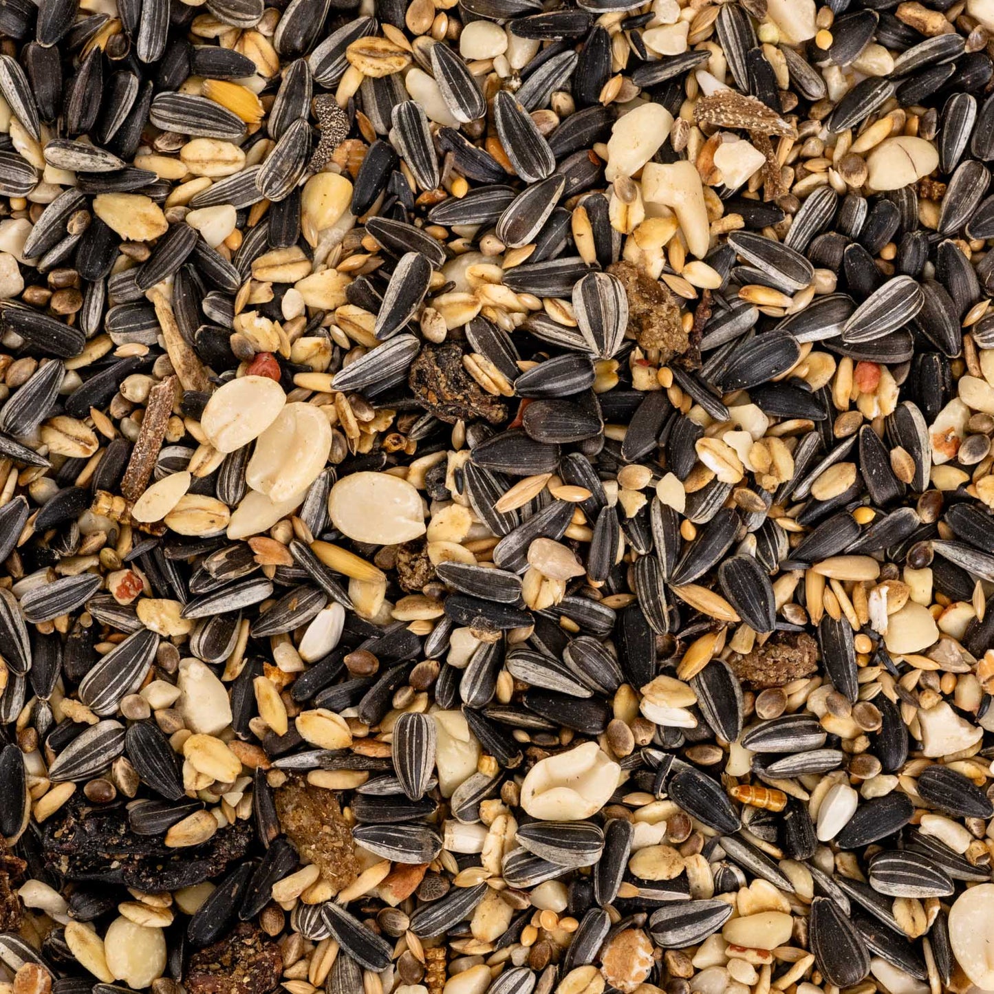 Wildvogelfutter Premium – Ganzjahresfutter für heimische Wildvögel