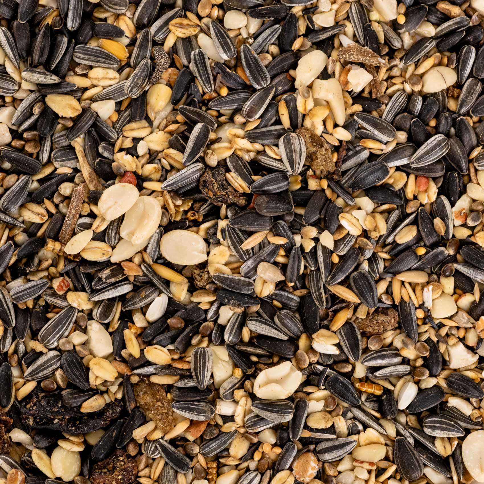 Wildvogelfutter Premium – Ganzjahresfutter für heimische Wildvögel