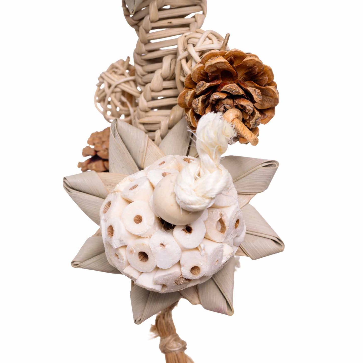 Stunny Sunny – Sittichspielzeug *NEU*