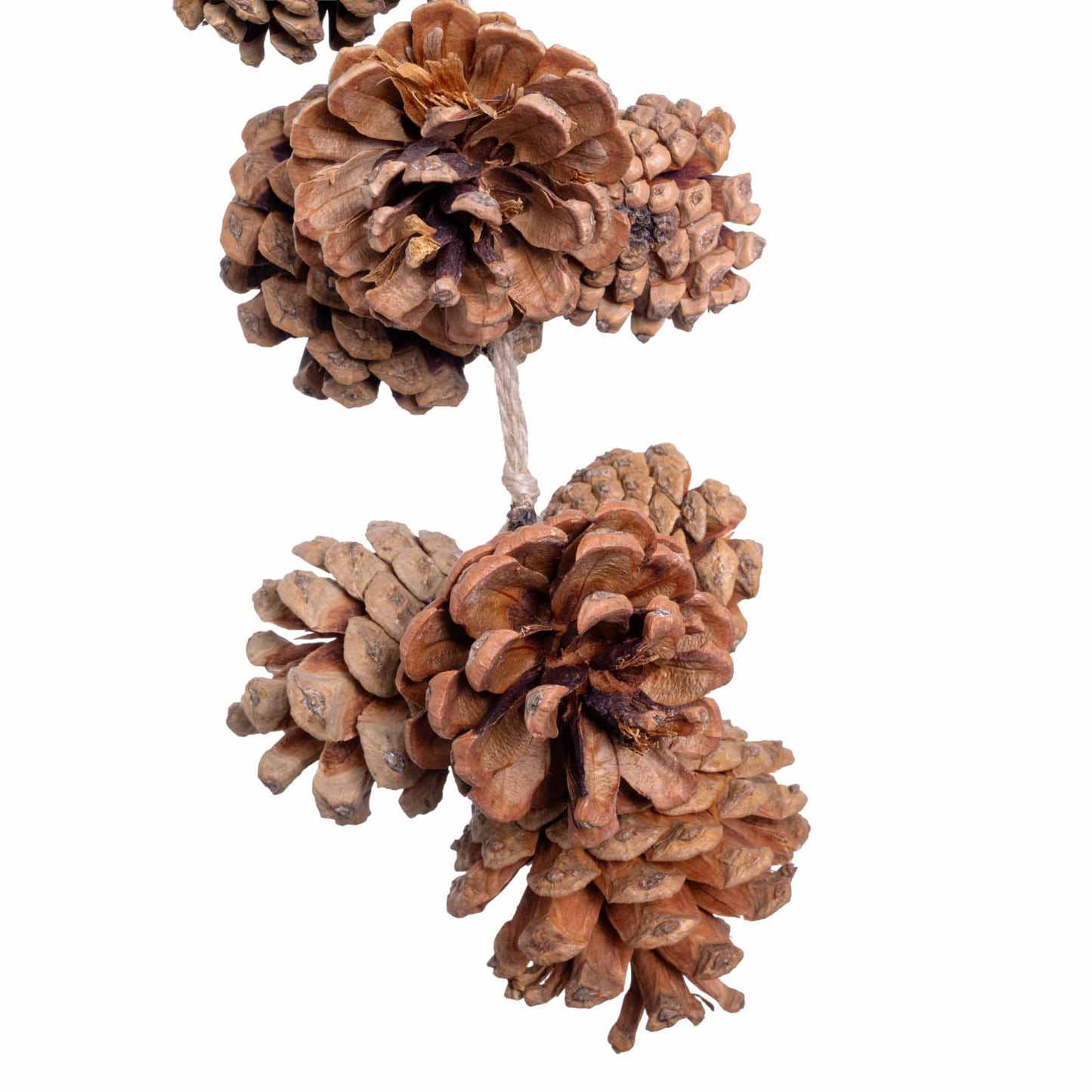 Kiefernzapfengirlande Natur *NEU*