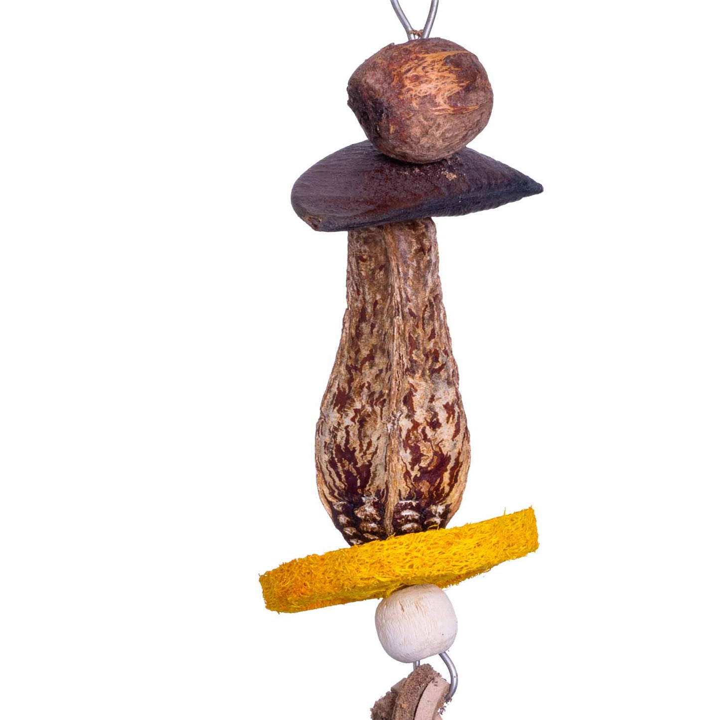 Hanging Nuts – Sittich- & Papageienspielzeug *NEU*